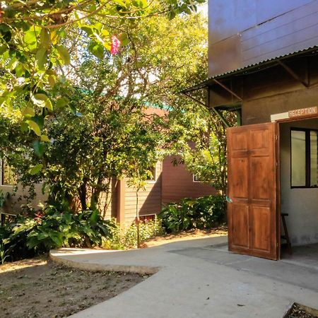 Moon Forest Apartments Monteverde 외부 사진