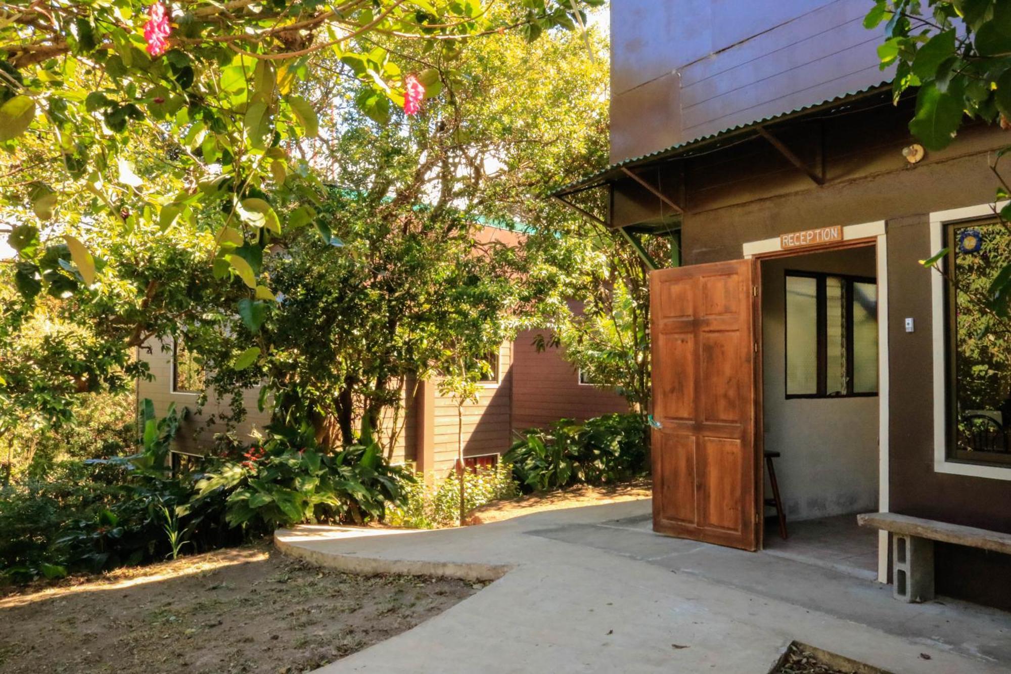 Moon Forest Apartments Monteverde 외부 사진