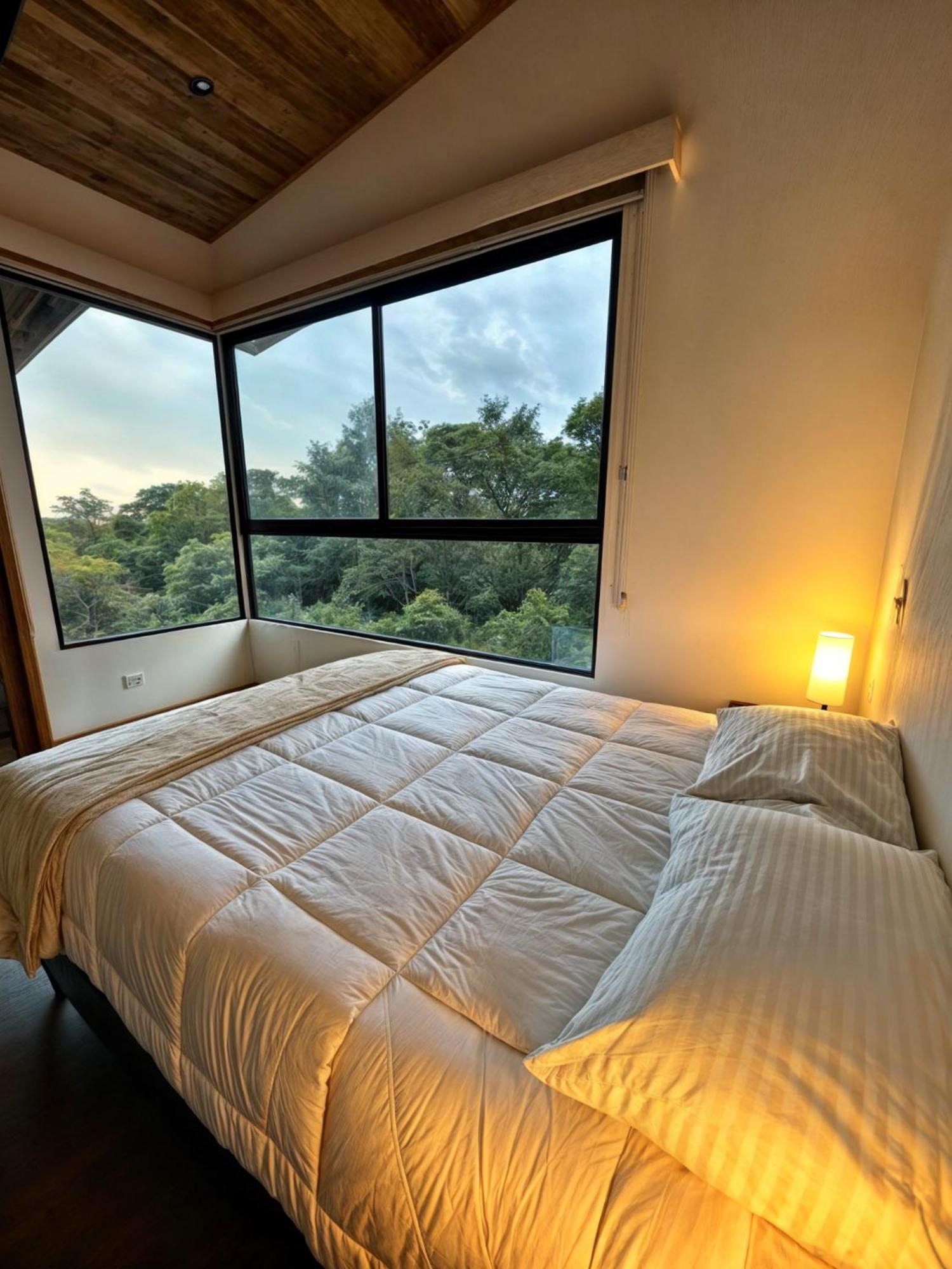 Moon Forest Apartments Monteverde 외부 사진