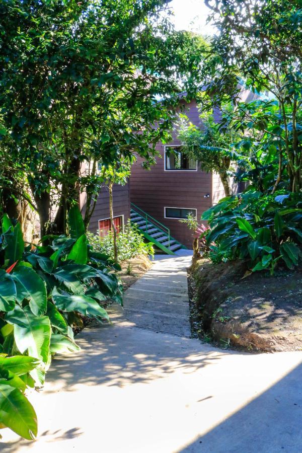 Moon Forest Apartments Monteverde 외부 사진