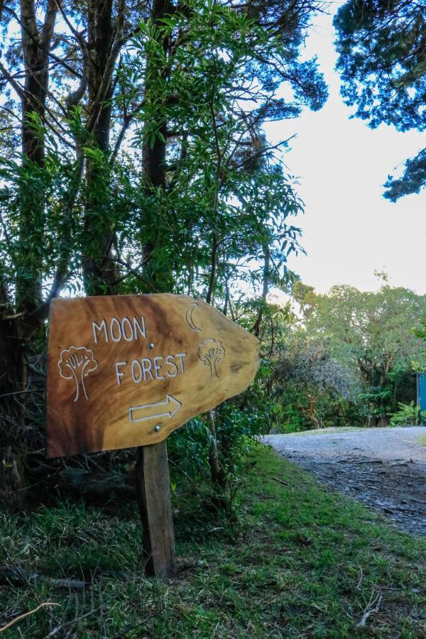 Moon Forest Apartments Monteverde 외부 사진