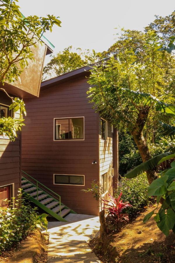 Moon Forest Apartments Monteverde 외부 사진