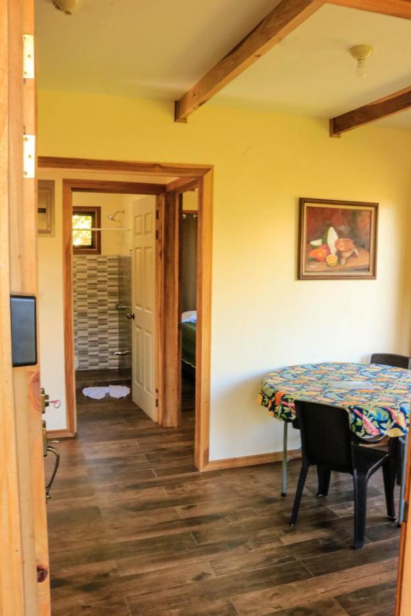 Moon Forest Apartments Monteverde 외부 사진