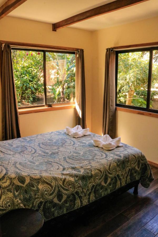 Moon Forest Apartments Monteverde 외부 사진