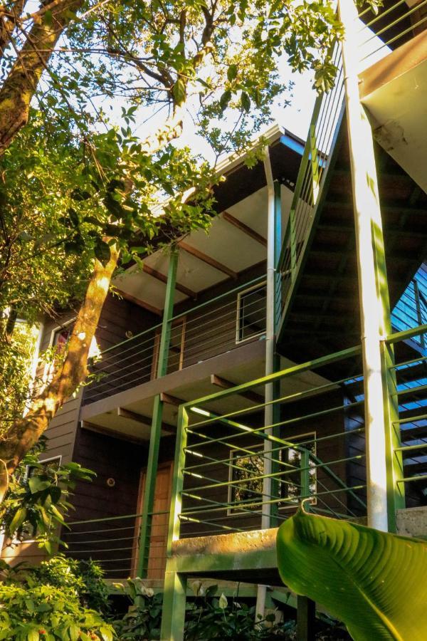 Moon Forest Apartments Monteverde 외부 사진