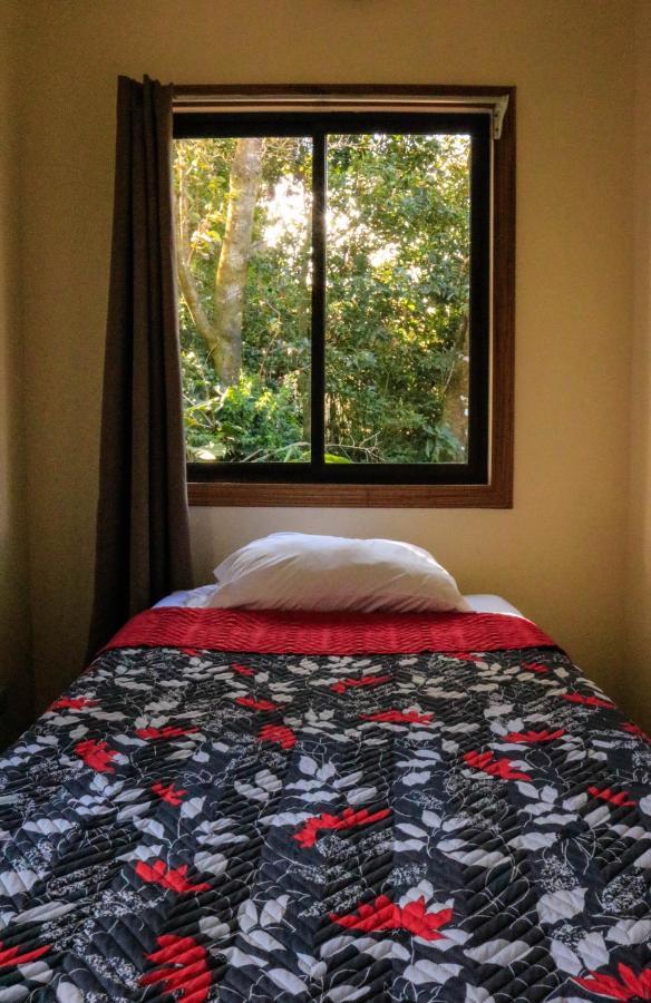 Moon Forest Apartments Monteverde 외부 사진