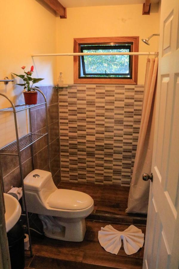Moon Forest Apartments Monteverde 외부 사진